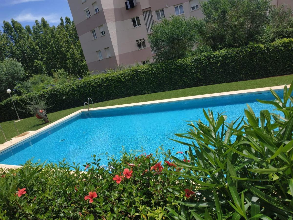 Amplio Apartamento Apartment *