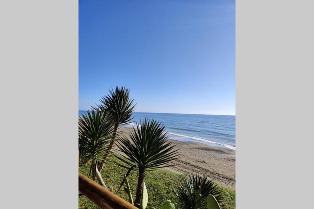 Luxury - Casa Tropical * Marbella