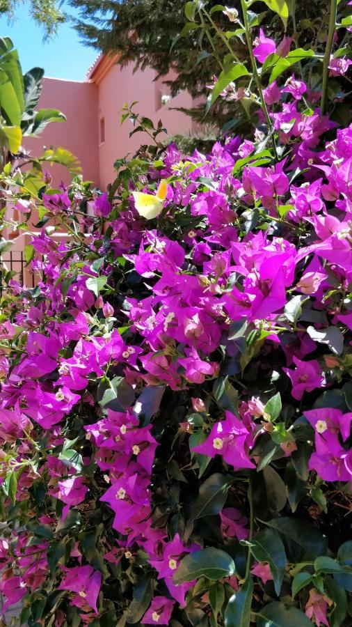 Luxury - Casa Tropical Appartement Marbella