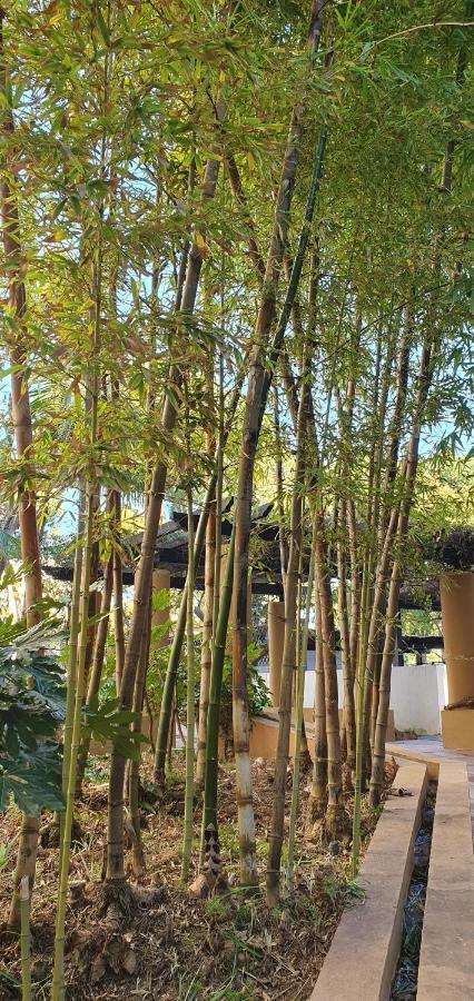 Jardines De Golondrinas Elviria By The Nikki Apartment Marbella