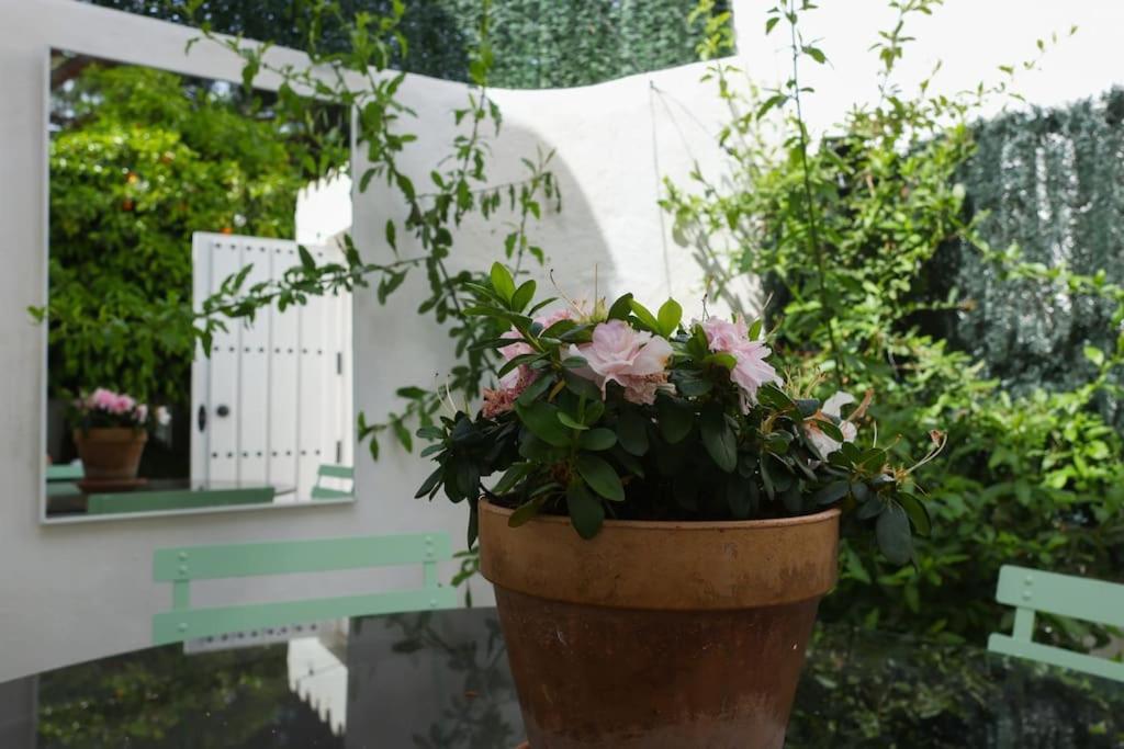 Casa Bela, En Muy Cerca De La Playa Vakantiehuis Marbella