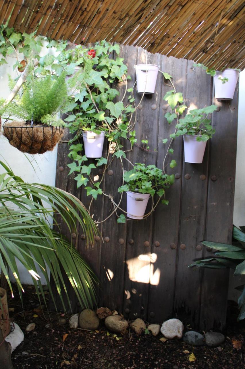 El Jardin Secreto De Elviria *