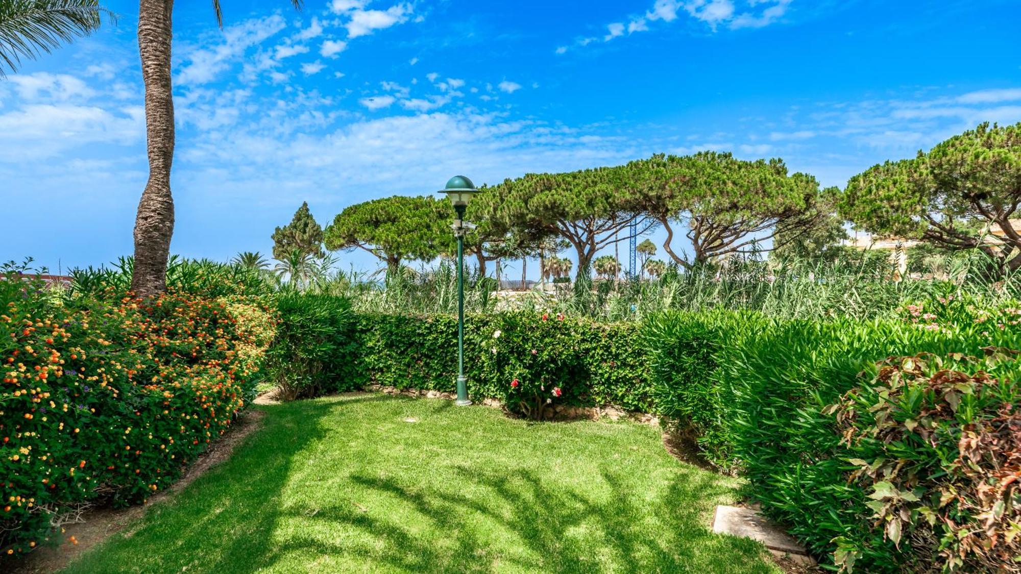 Apartment Palm - Luxury At First Line