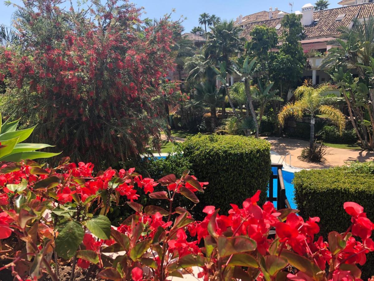 Luxury At Lomas Del Rey, Puente