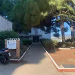 Bellavista Nueva Andalucia
