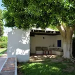 Luxurious Villa In Marbella With Swimming Pool