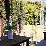 Apartamento En Milla De Oro