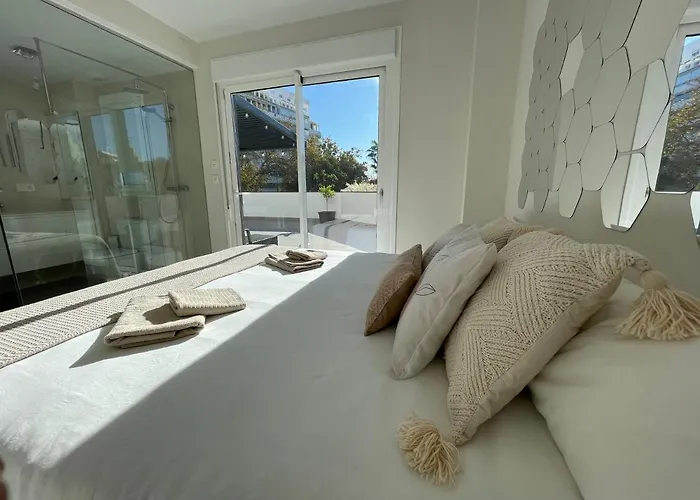 Marbella Centre With Terrace And Pool