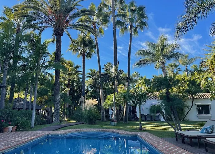 Villa In A Palm Tree Plantation