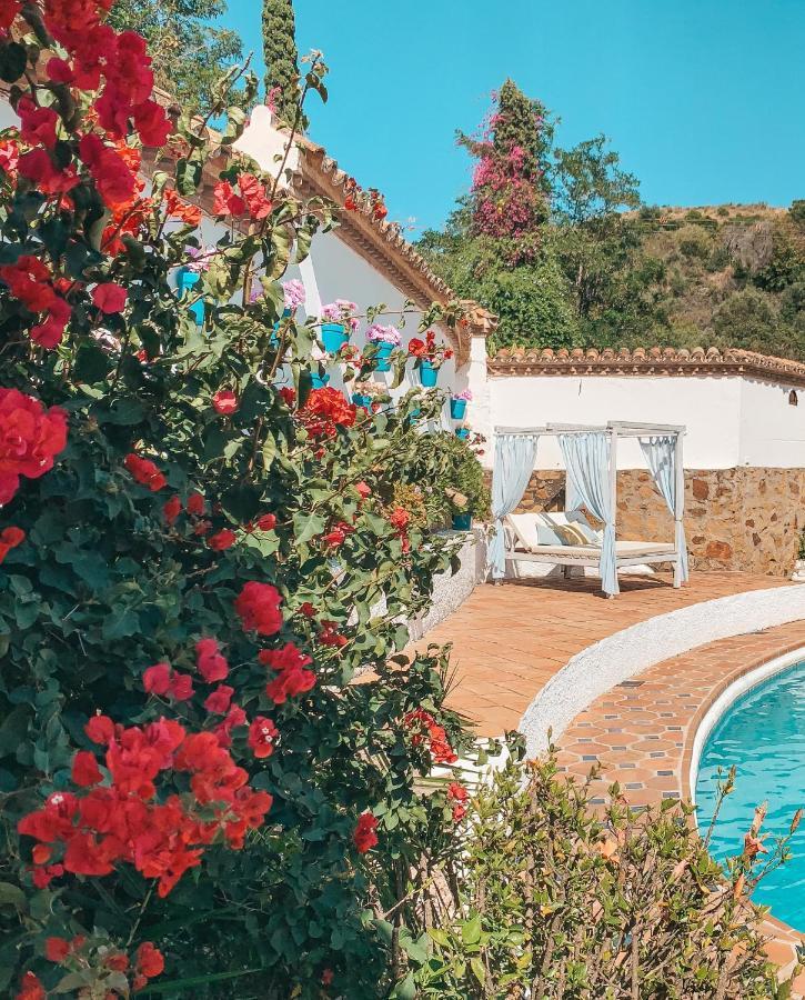 Jardines De La Reina Boutique Frühstückspension Marbella