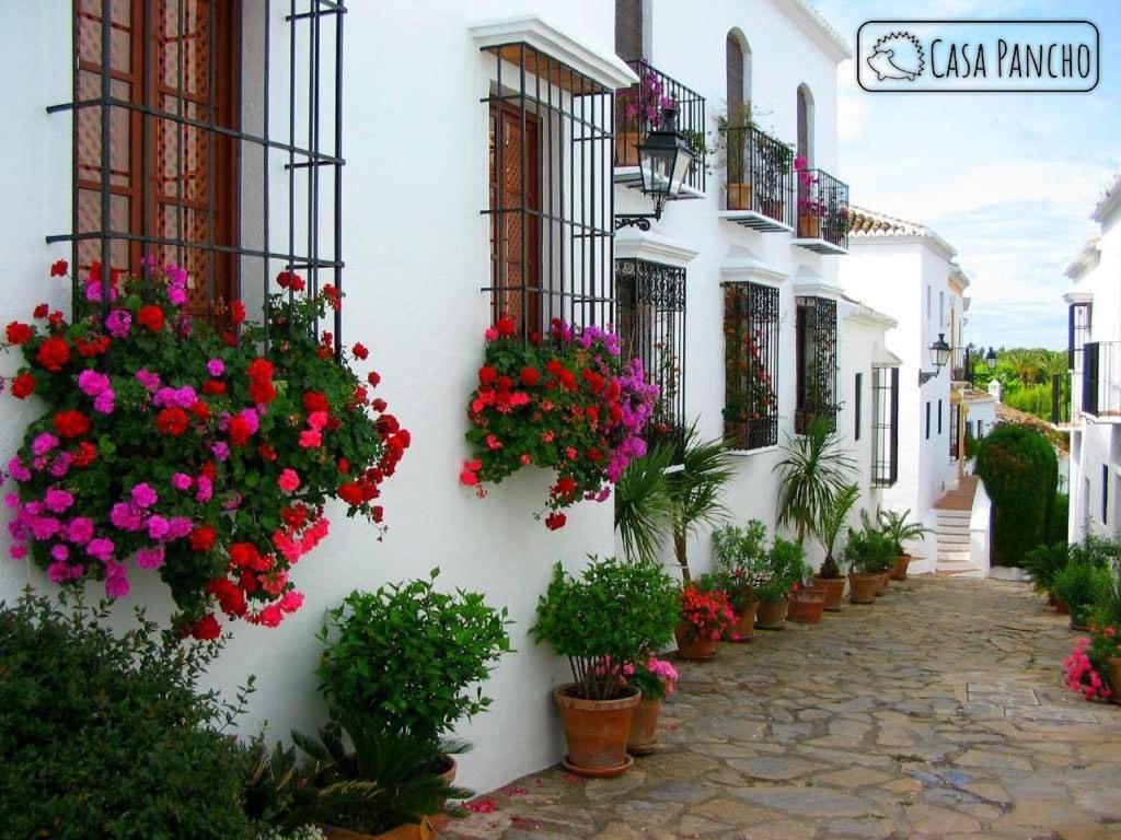 Apartment Apartamento Milla De Oro 5 Personas