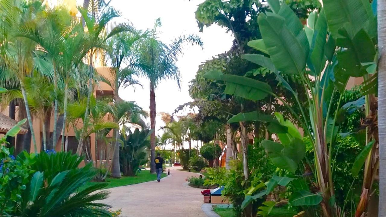 Alicate Beachfront - Luxury Apartment-1 Apartment *