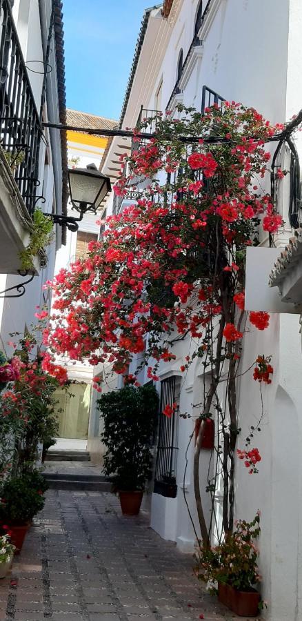 Precioso Y Acogedor Atico Old Town Apartment Marbella