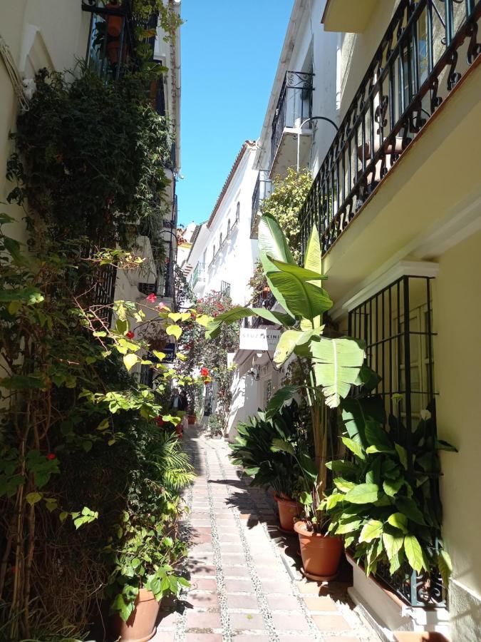 Precioso Y Acogedor Atico Old Town *
