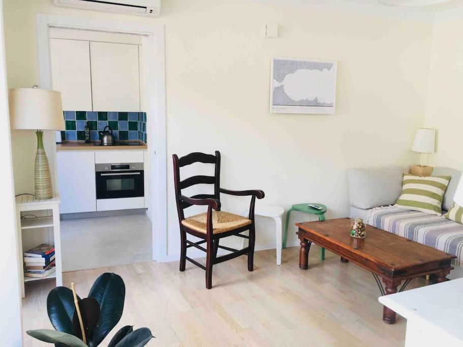 Big Terrace Penthouse In Old Town Marbella