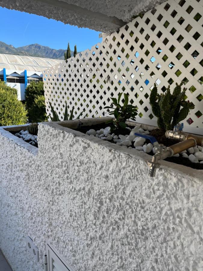 Jardines Del Mar,penthouse Elisabeth Appartement *