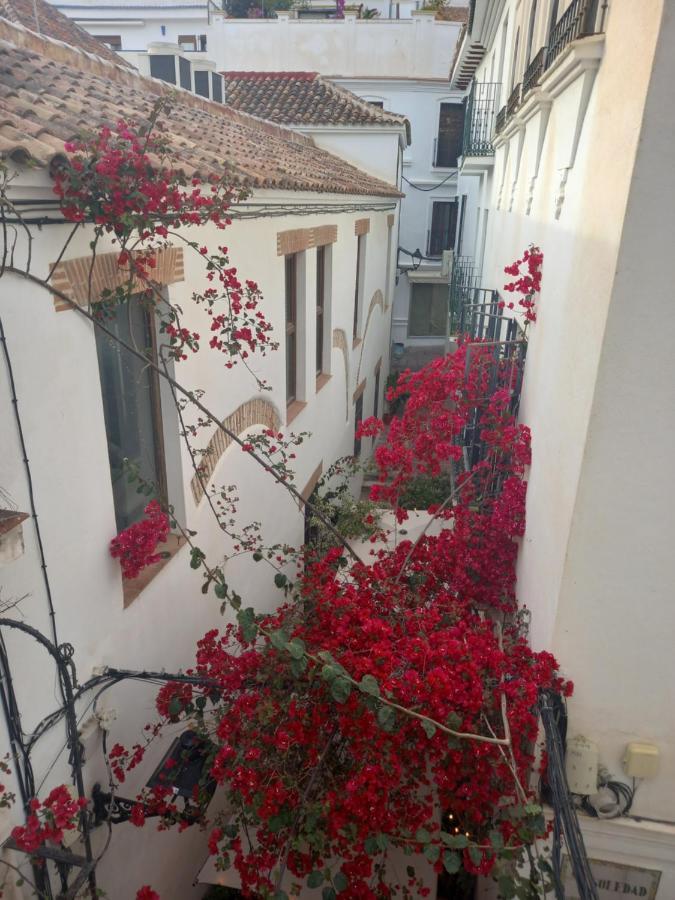 Precioso Y Acogedor Atico Old Town Apartment