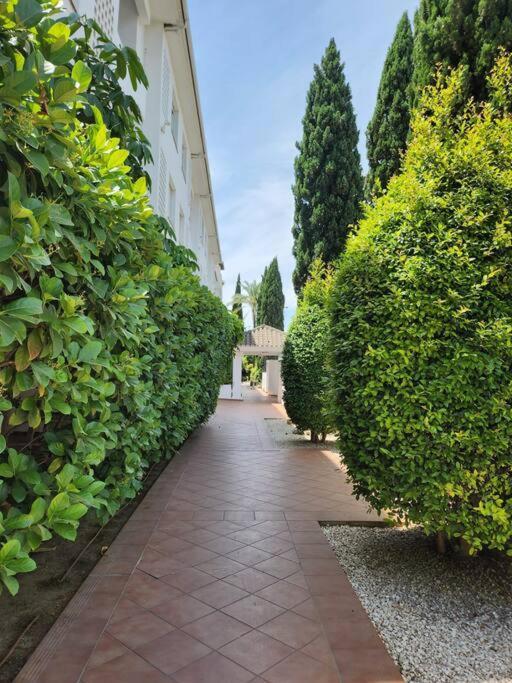 Stunning Duplex 5 Minutes From Puerto Banus Marbella