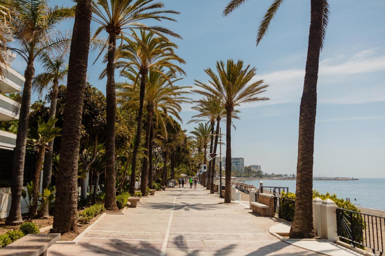 Vacation Home In The Best Location, With Terrace, Pool And Bbq, In Marbella Center Apartment