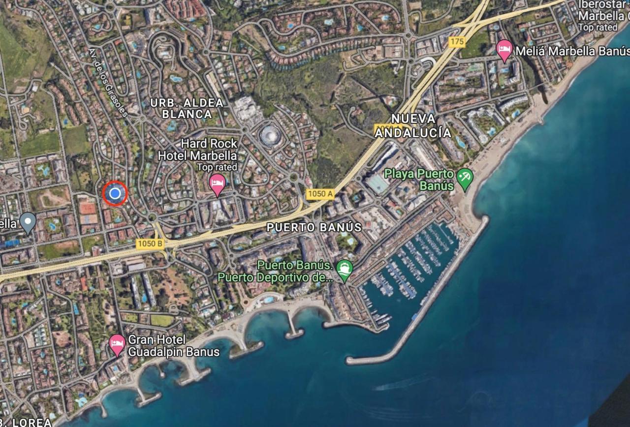 Villa In A Palm Tree Plantation Marbella