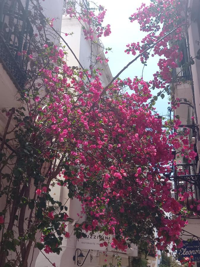 Precioso Y Acogedor Atico Old Town * Marbella