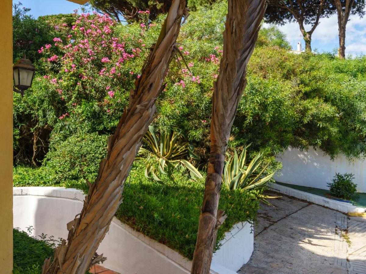 Apartment Cabopino-2 By Interhome