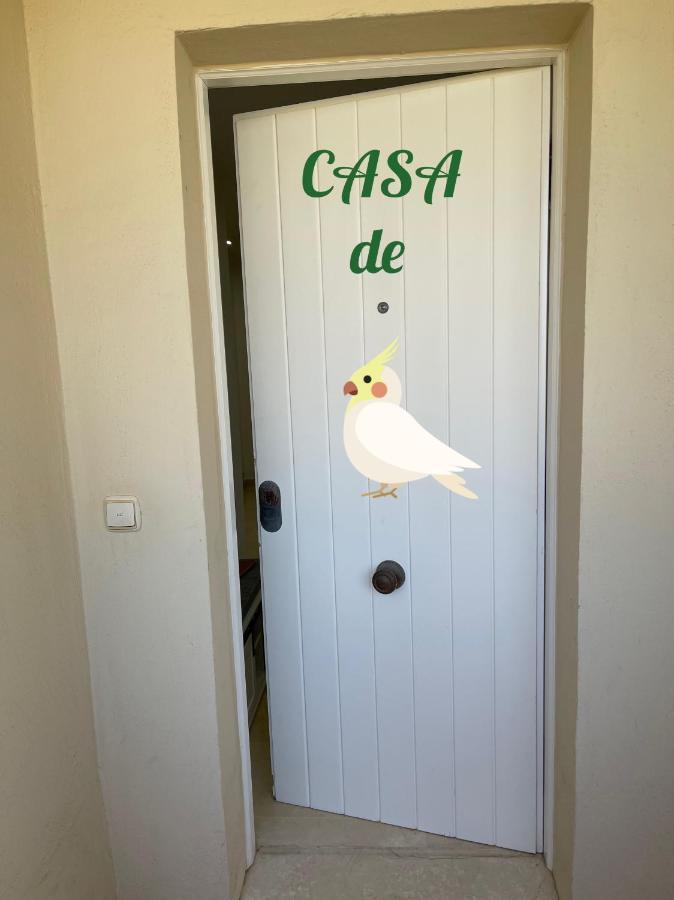 Casa De Loros Apartment