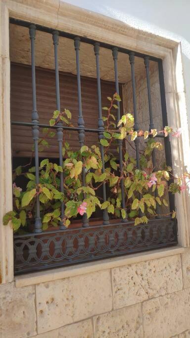 Appartement Casa Casco Antiguo De Marbella. *