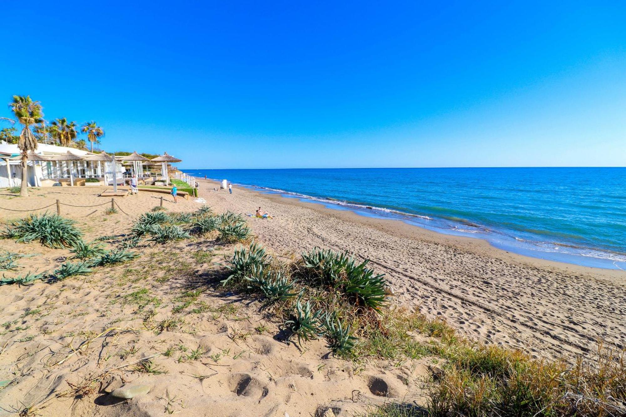 Apartment Romana Playa By The *