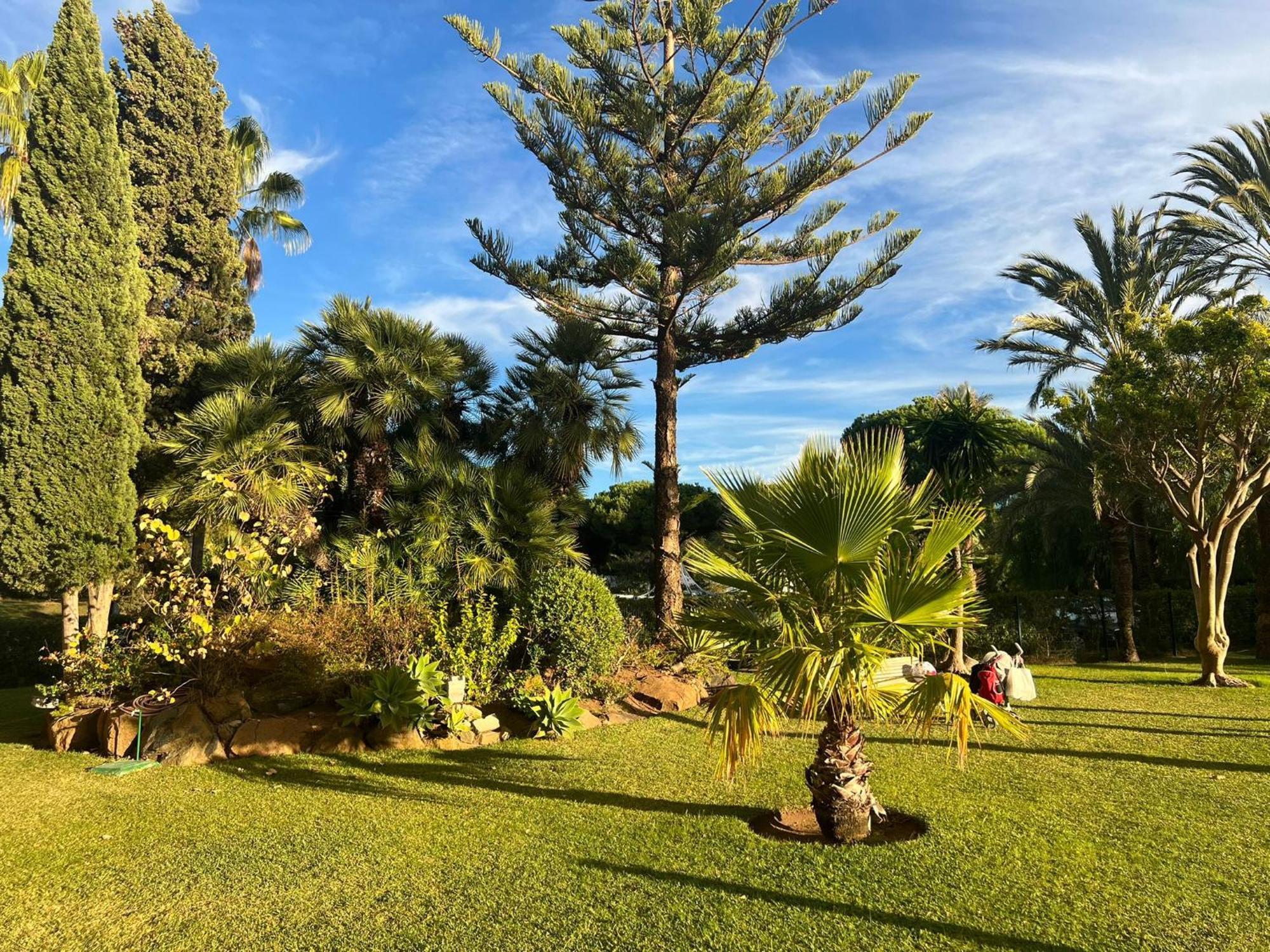 Estudio A 15 Min De * Marbella