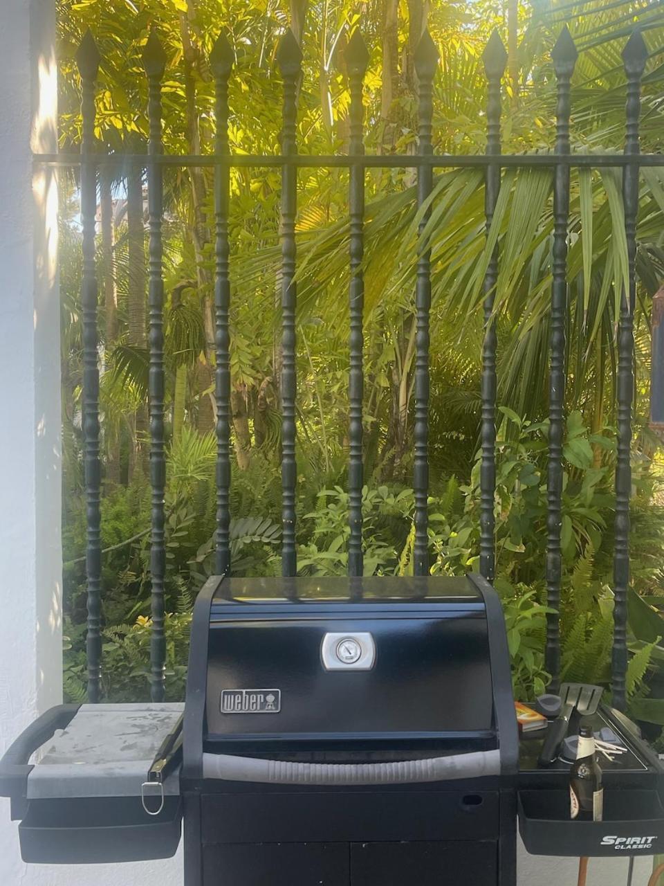 In A Palm Tree Plantation Villa