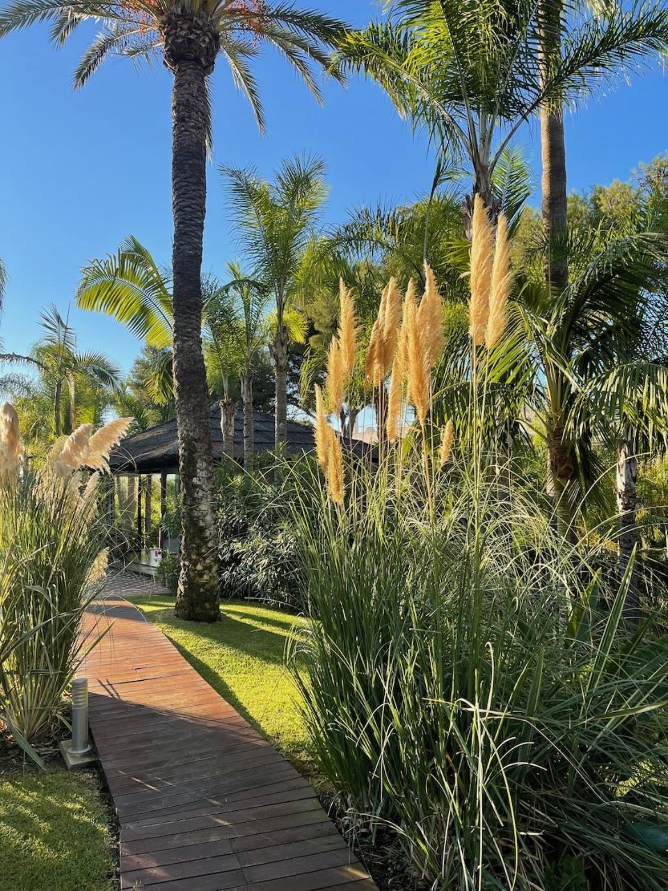 Villa In A Palm Tree Plantation Marbella