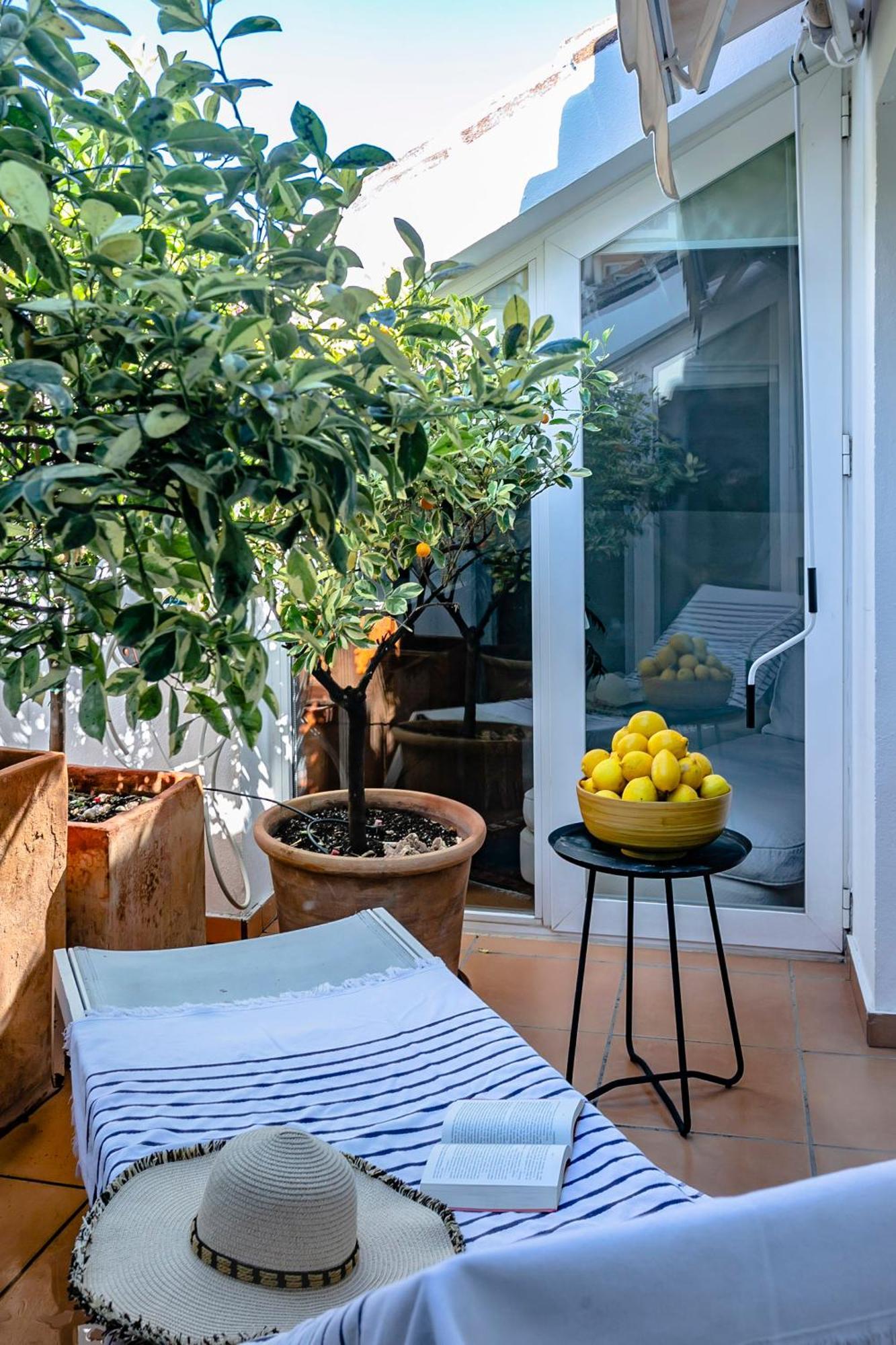 Molo Luxury Puerto Banus