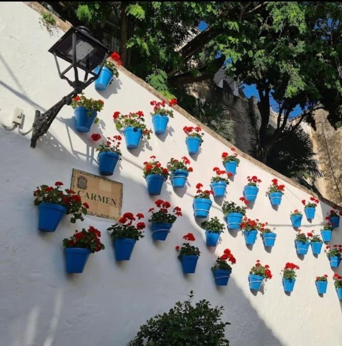 Apartment Flores Marbella