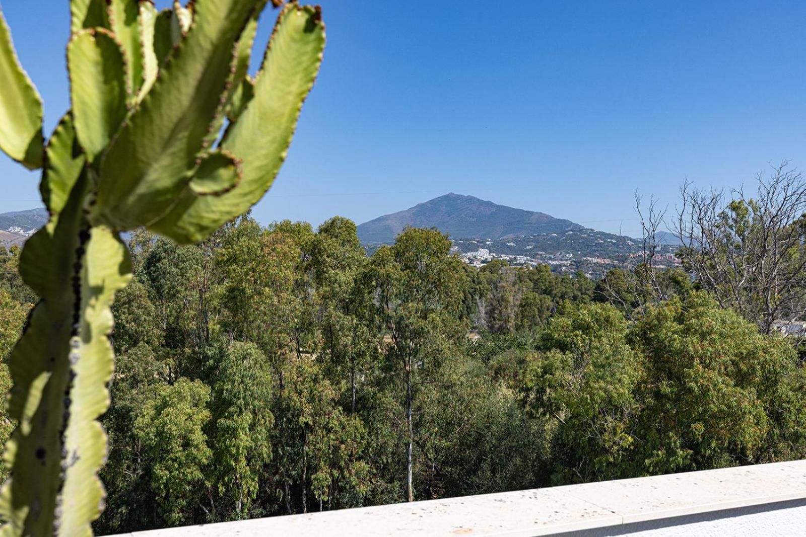 Bright Penthouse With Swimming Pool In Appartement Marbella