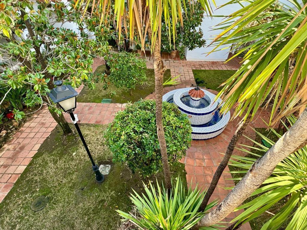 Naranjos Del Sol
