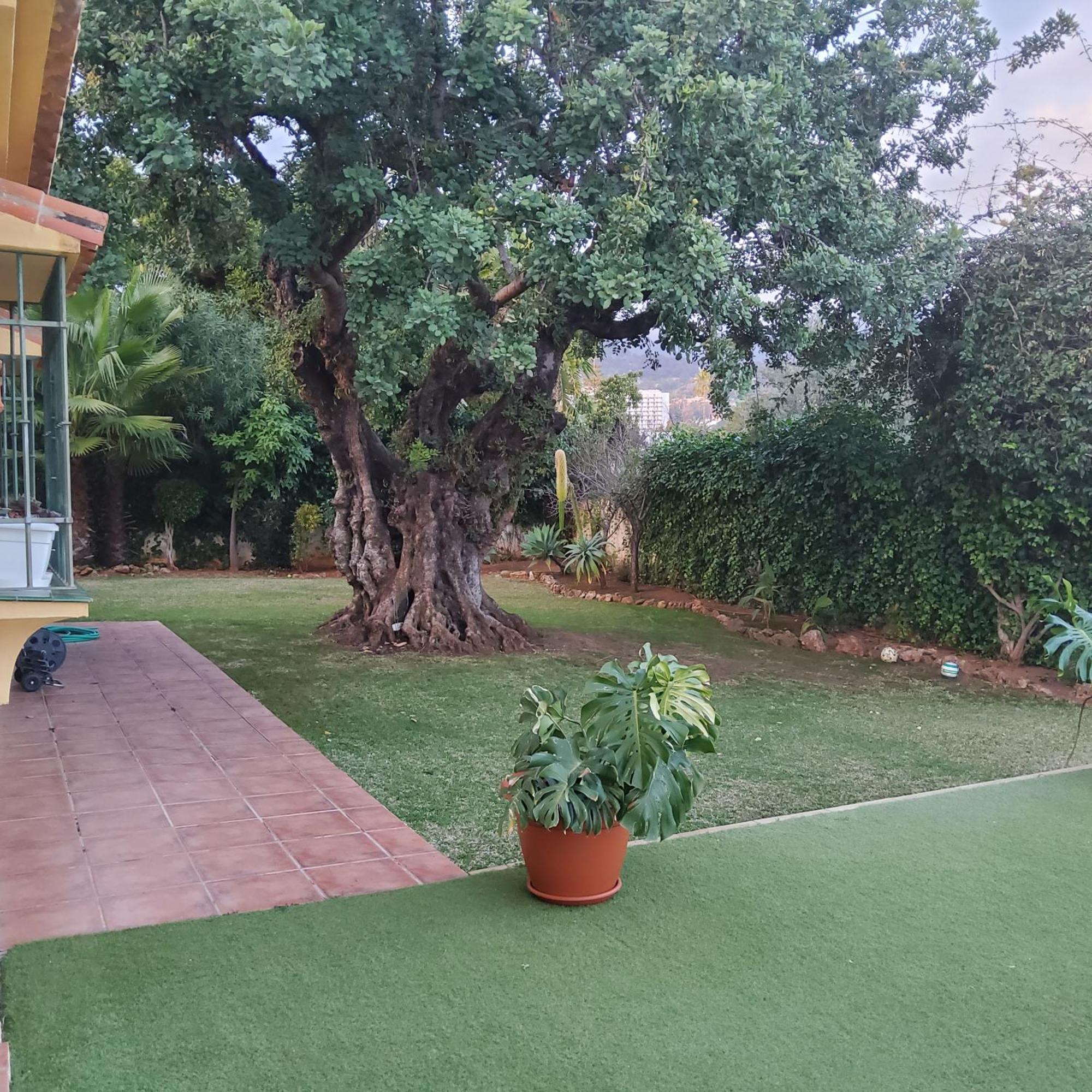 Villa The Enchanted Fairy Forest