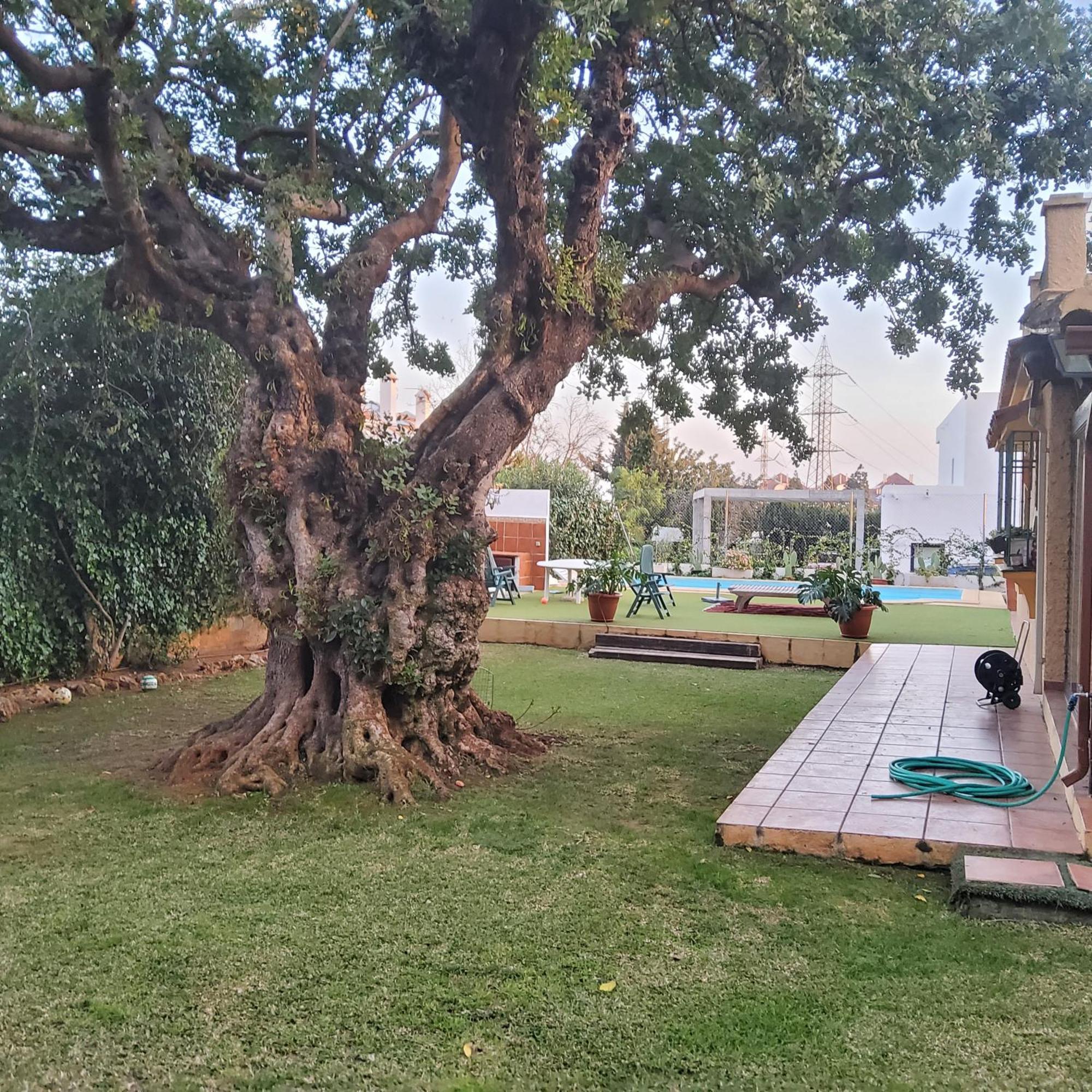 The Enchanted Fairy Forest Villa Marbella