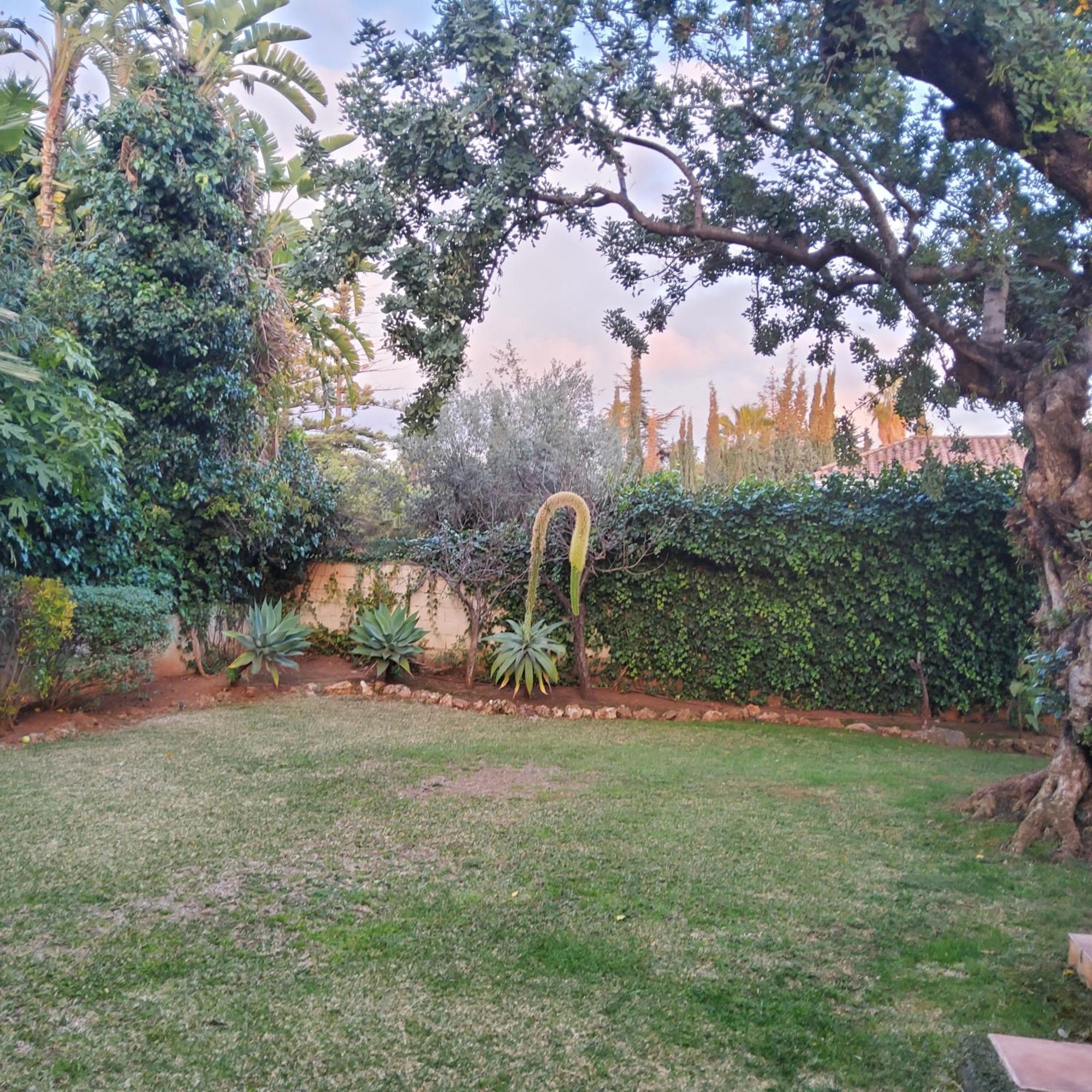 The Enchanted Fairy Forest * Marbella