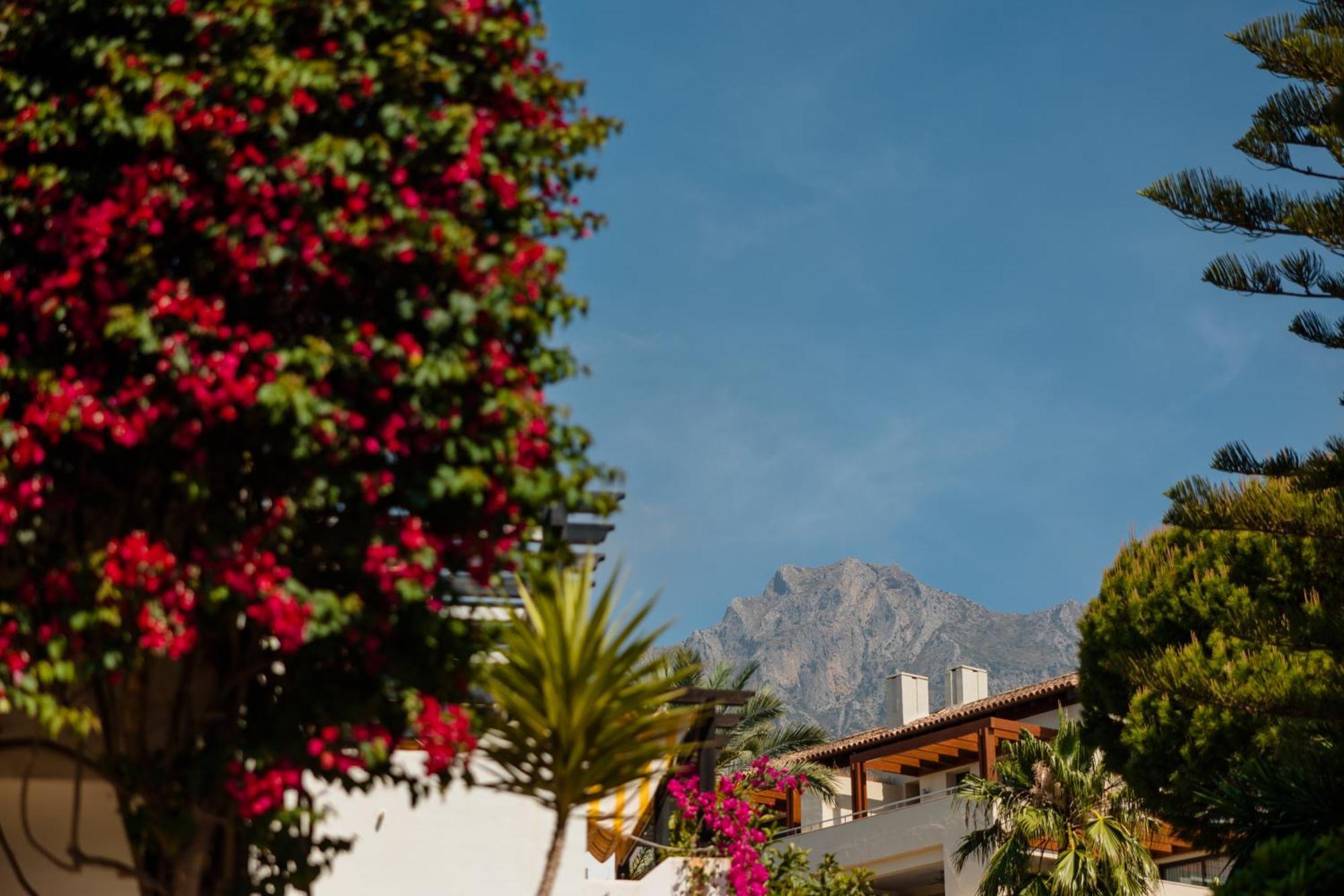 Vacation Home In The Best Location, With Terrace, Pool And Bbq, In Marbella Center Apartment