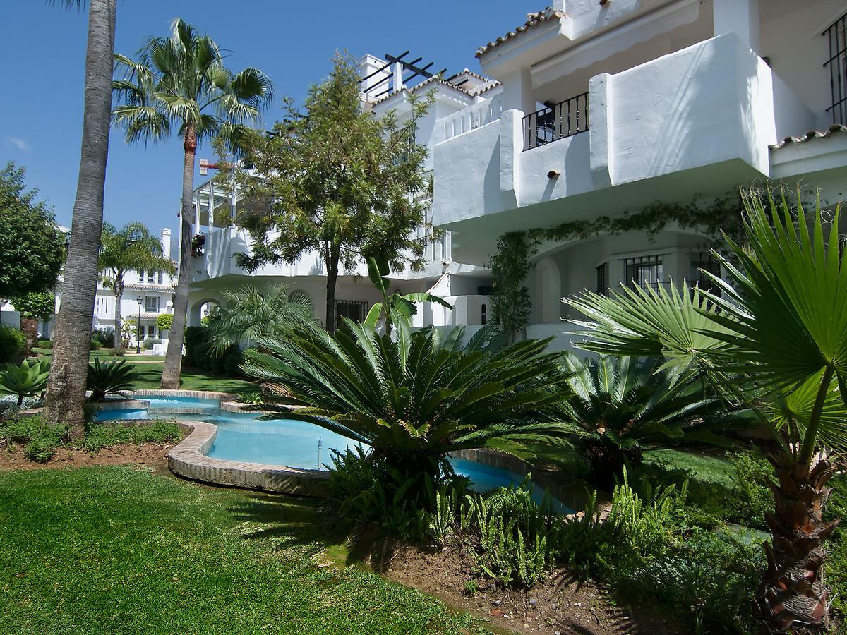 Naranjos *