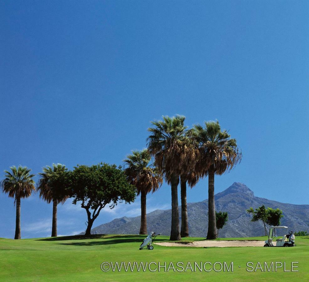 Fantastic Next To Guadalmina Golf Course In Marbella