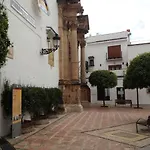 Alamo 6