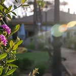 Marbella Banus Suites - Banus Suite Dama De Noche Apartment