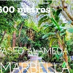 Apartamento En Marbella Centro