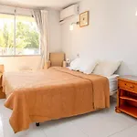 One-Bedroom Apartment in Las Chapas
