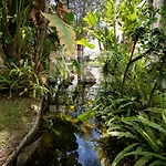 Lovely Apartment Marbella Center Garden Views 130