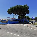 Arena Carpe Diem Marbella