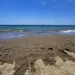 Arena Carpe Diem Marbella