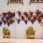 Oasis Lomas Del Marbella Club
